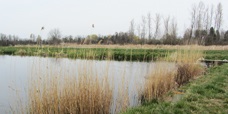 Environmental