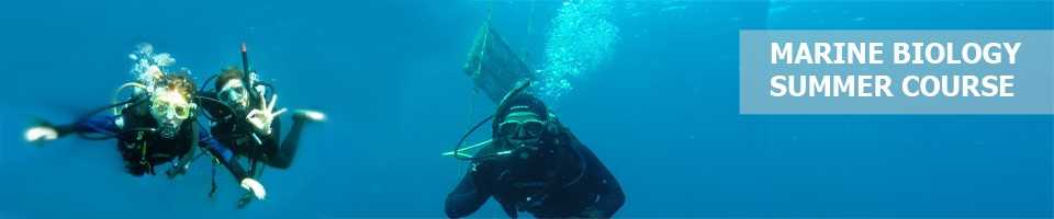 Marine Biology Summer Course